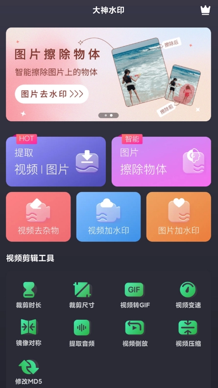 抖音快手视频去水印：大神水印高级版本-VIP有效期到2099年-第4张图片-IT技术视界
