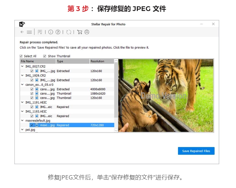 Stellar Repair for Photo照片修复软件，破损、模糊、不清晰再见了！-第4张图片-IT技术视界
