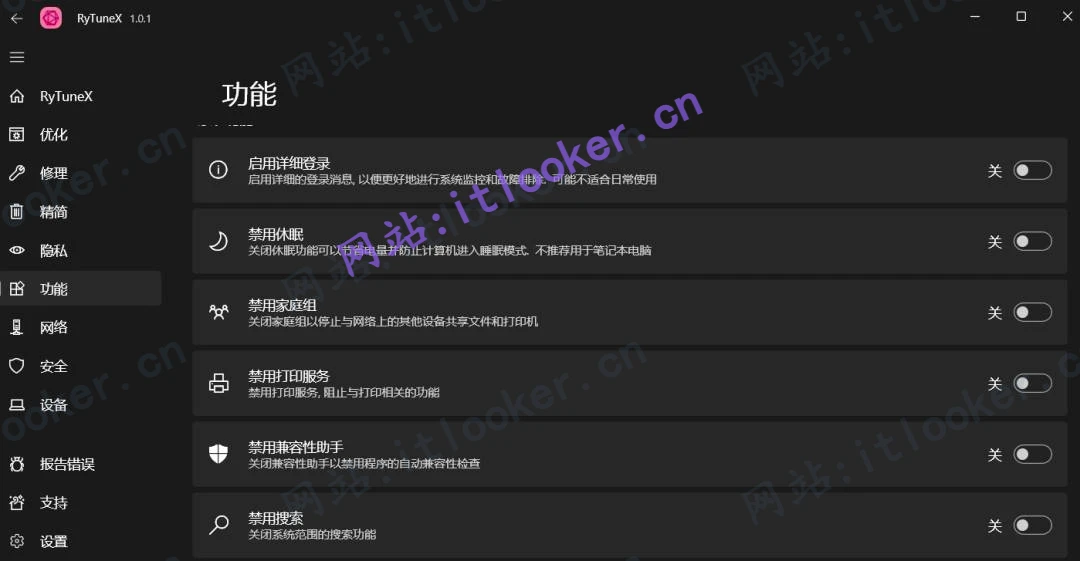RyTuneX:开源系统优化工具中文版,提升电脑运行效率-第7张图片-IT技术视界