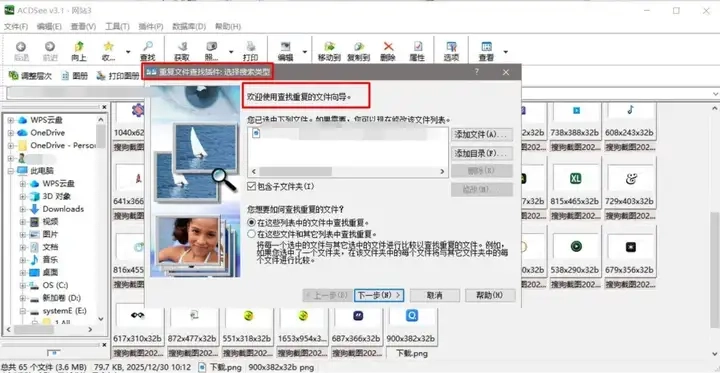 ACDSee 看图最终美化版：高速看图 + 基础修图 + 批量处理 v3.1 SR1-第5张图片-IT技术视界